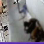 5 Street Dogs Ne Milkar 7 Years Old Ladke Ko Gher Kar Kaata Ladka Serious Injured At Jhansi Uttar Pardesh