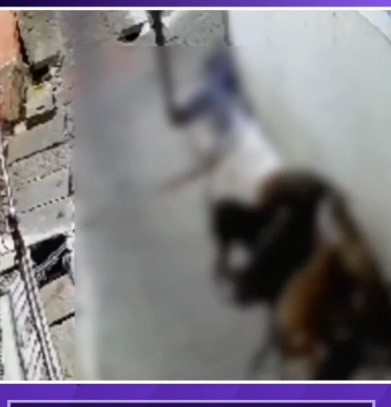 5 Street Dogs Ne Milkar 7 Years Old Ladke Ko Gher Kar Kaata Ladka Serious Injured At Jhansi Uttar Pardesh
