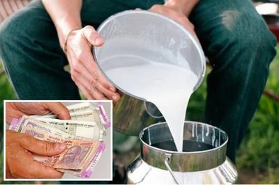 Ab Doodh Mehnga Hoga Mumbaikar Buffalo Milk Ka Rate 1 September Se Badhega Mumbai Me