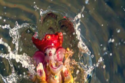 Alert Jellyfish aur Stingrays se sawdhan rahe Mumbaikars BMC ne Alert kiya Ganesh Visarjan karne jane walon ko