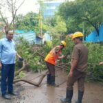 Tree Fall at Wagle Estate Thane Jhaad girne se 1 shaks injured hua