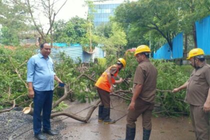 Tree Fall at Wagle Estate Thane Jhaad girne se 1 shaks injured hua