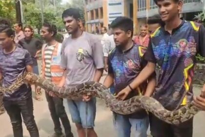 15ft Python Sanke Navi Mumbai ke Juinagar Local Railway Station Premises se rescue kiya gaya