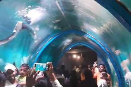 Fish Tunnel In Mumbai India Ka Sabse Bada Fish Aquarium Tunnel At Borivali
