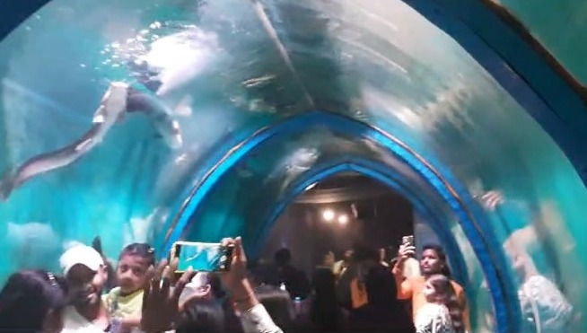 Fish Tunnel In Mumbai India Ka Sabse Bada Fish Aquarium Tunnel At Borivali