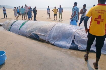 Zinda Blue Whale Ratnagiri ke samundra kinare aakar phansi Rescue operation jaari