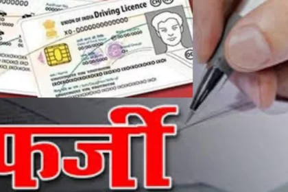 18 11 2022 how to identify fake driving license 1 23211782