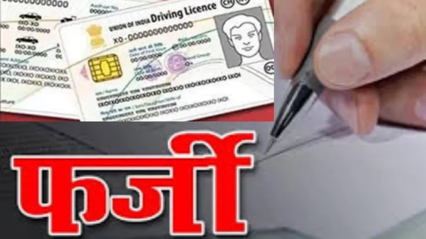 18 11 2022 how to identify fake driving license 1 23211782