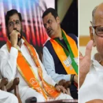 Ajit Pawar Eknath Shinde Devendra and Sharad Pawar jpg