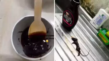 video of dead mouse in hershey chocolate syrup delivered by zepto viral 111106211