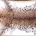 leopard skin