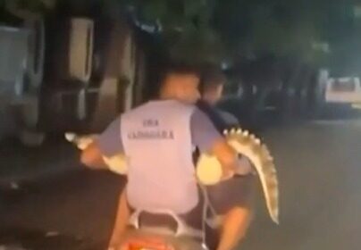 rocodile ko Bike