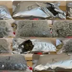 drugs seized at mumbai airport 1732548958857 16 9