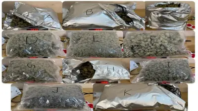 drugs seized at mumbai airport 1732548958857 16 9