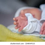 newborn babys hand reaches out 260nw 2248549115