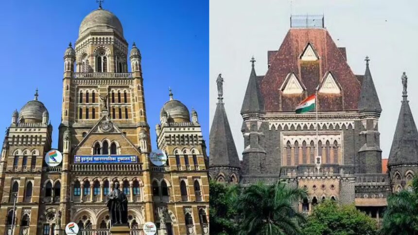 BMC and Bombay High Court