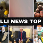 Gallinews Headlines 3