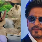 modi shah rukh khan