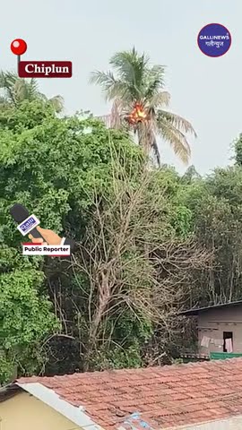Bijli Giri – Naryal Ke Jhaad Me Lagi Aag At Chiplun Pethmap Farshi Pul Ke Pass