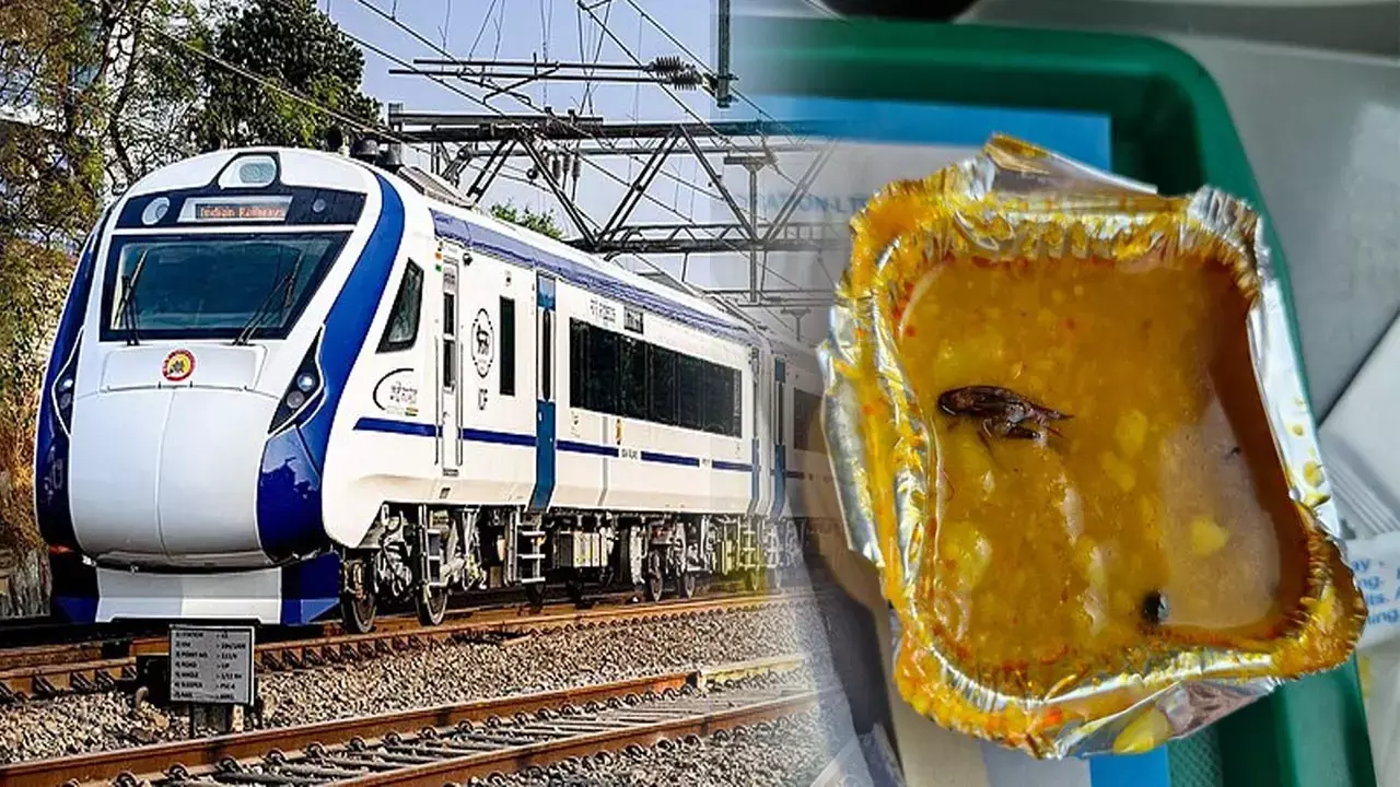 Cockroach Nikla Khane Me, Vande Bharat Express Train Bhopal To Agra Jaa Rahi Thi, IRCTC Ne Bheja Tha Khana