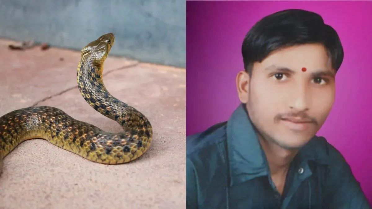 Birthday Ke Din Sanp Ke Sath Photo Nikalna Pada Bhari, Zehrile Sanp Ke Dasne Se Birthday Boy Ki Death Hui At Buldhana