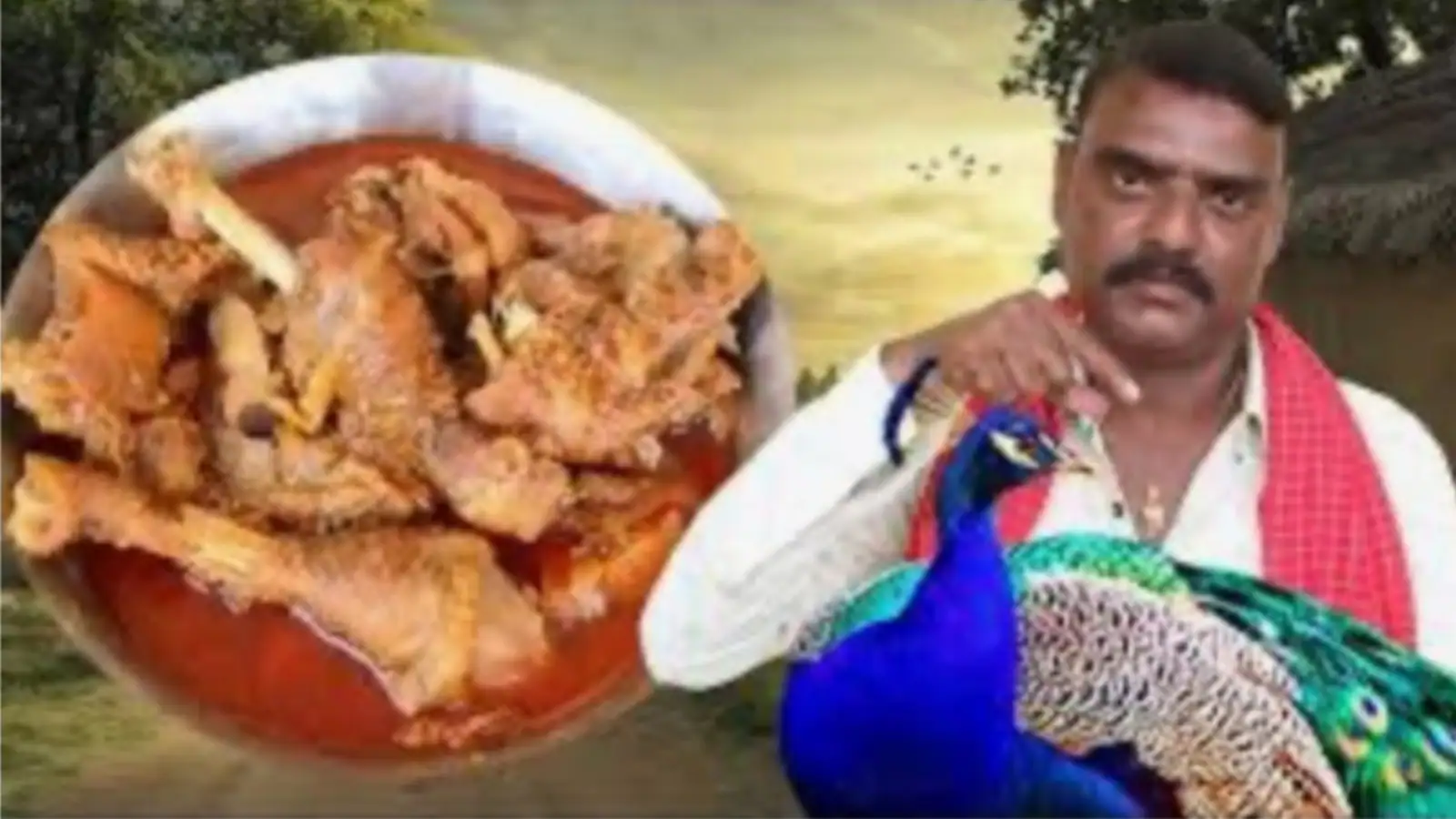 Peacock Curry Banate Hue Video Upload Kiya Youtuber Ne, Famous Hone Ke Chakkar Me Hawalat Pohancha At Telangana