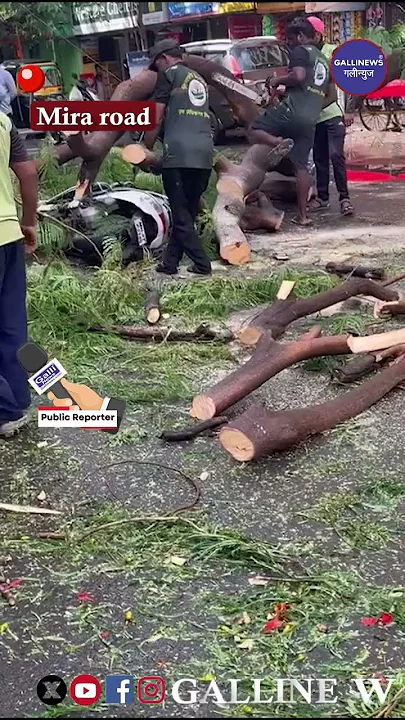 Tree Collapses Opposite To Goyal Plaza, Mira Road Causing Severe Injury To One Person