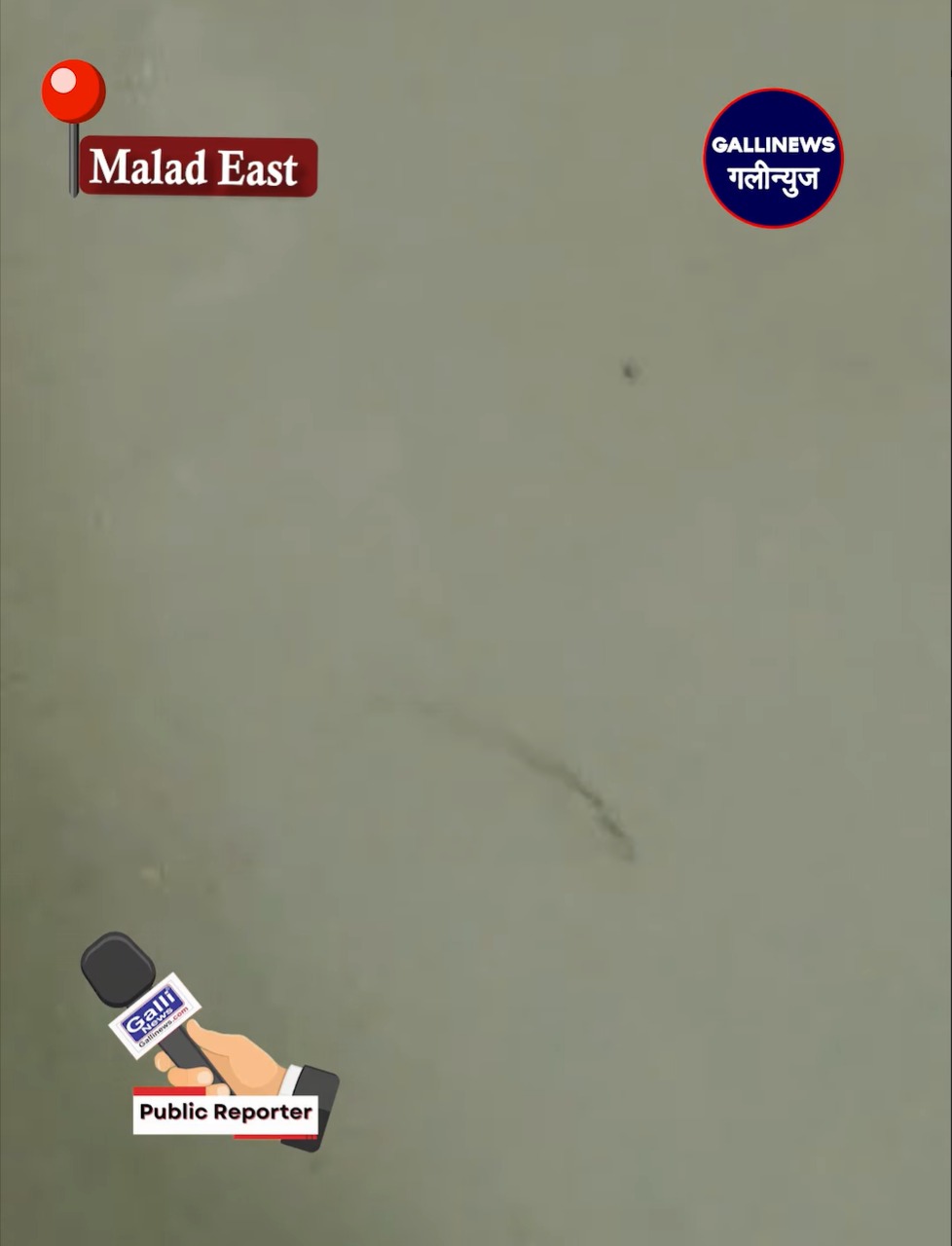 Keede Wala Drinking Water