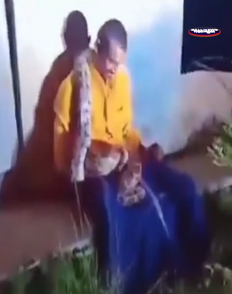 Azgar Saanp Ne Lapeta Nashe Me Dhutt Aadmi Ko, Video Viral