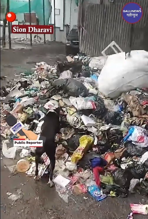 Sion Dharavi PMGP Colony