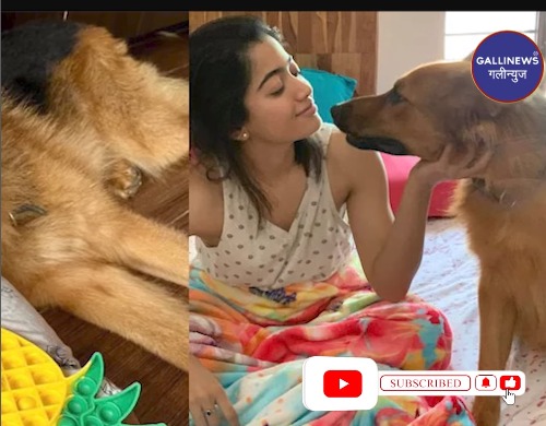 Rashmika Mandanna ka paltu Dog Maxi ab iss duniya me nahi raha, Social Media par afsoos vaykt karte hue photo post kiya