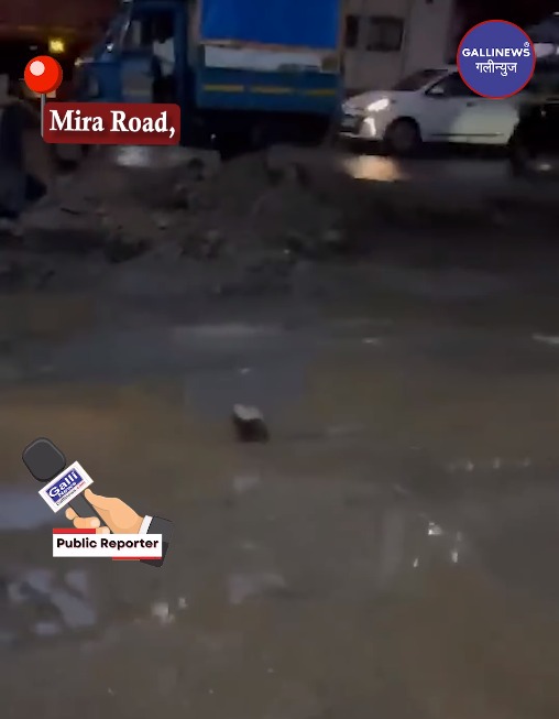 Metro Work Ke Chalte Patthar Gira Ek Shaks Ke Sir Par At Mira Road, Kashimira, Safety Par Sawal Uthe, Video Viral Hua