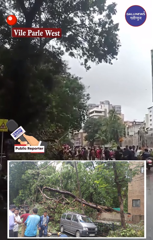 Tree Fall On Car At Vile Parle West SV Road