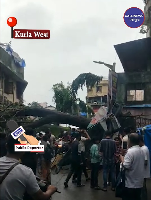Tree Fall Kurla West Near Bharamman Wadi