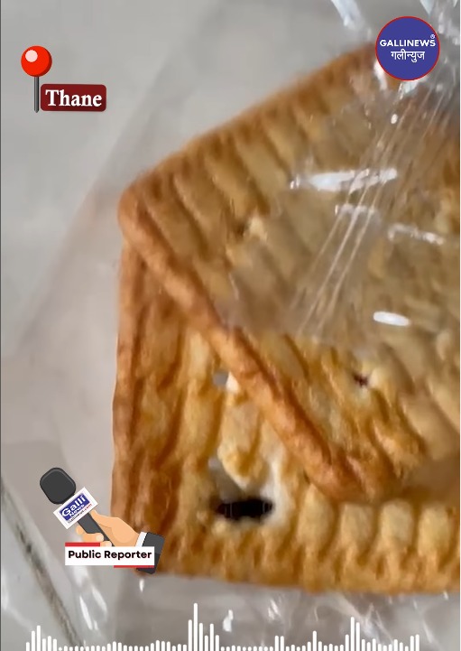 Found Fly In #Krackjack #Parle Brand Biscuit