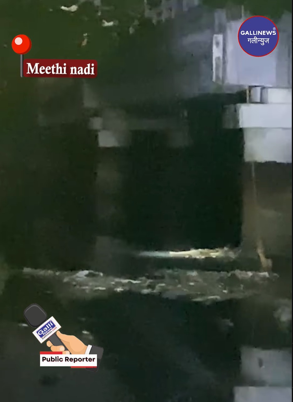Eethi Nadi Magar Signal Ke Pass Daru Peeke Khadi Mein Kuda