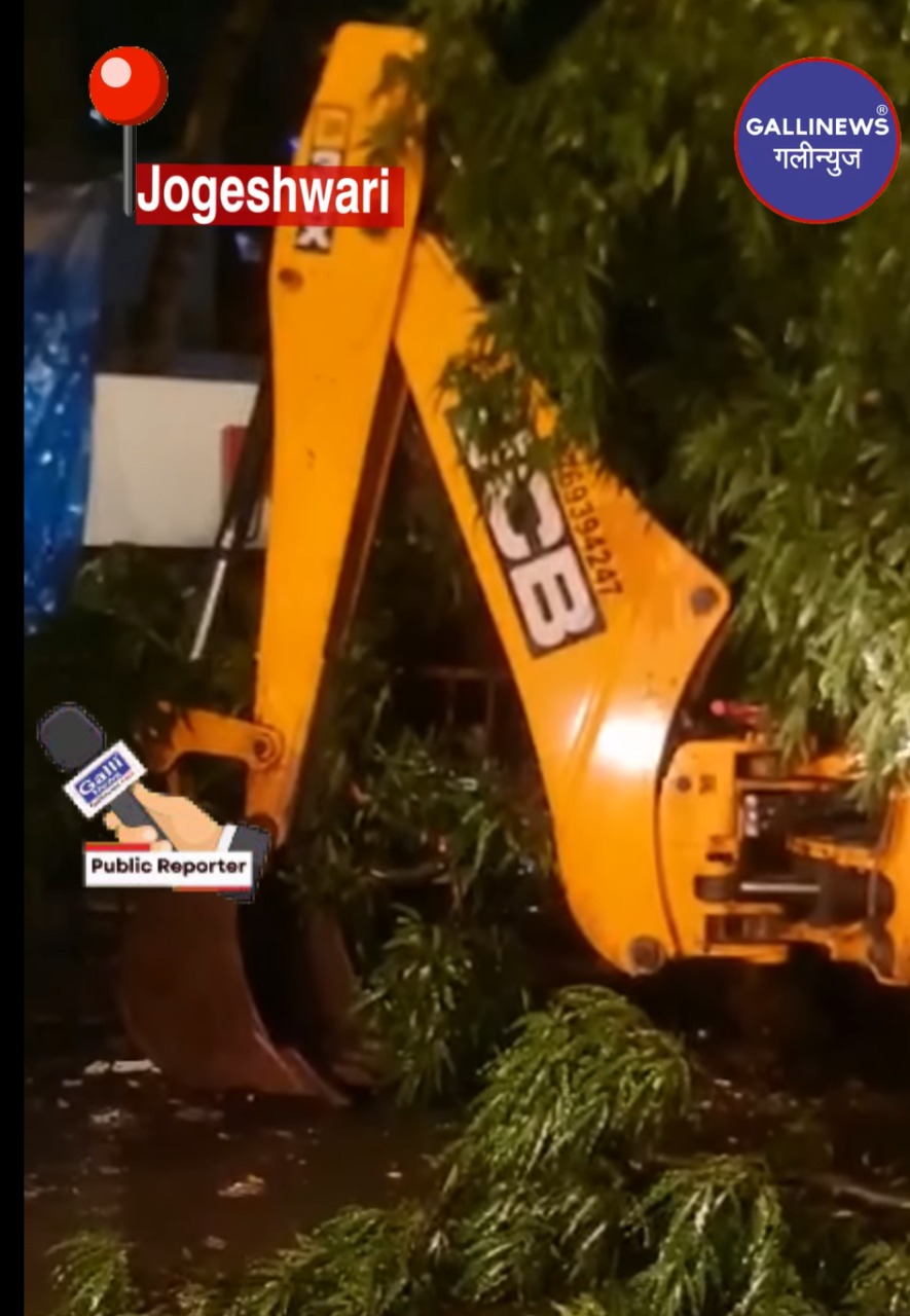 Tree Fall On Sumani – Amrut Nagar Ram Mandir Road, Opp Toyota Showroom Jogeshwari West