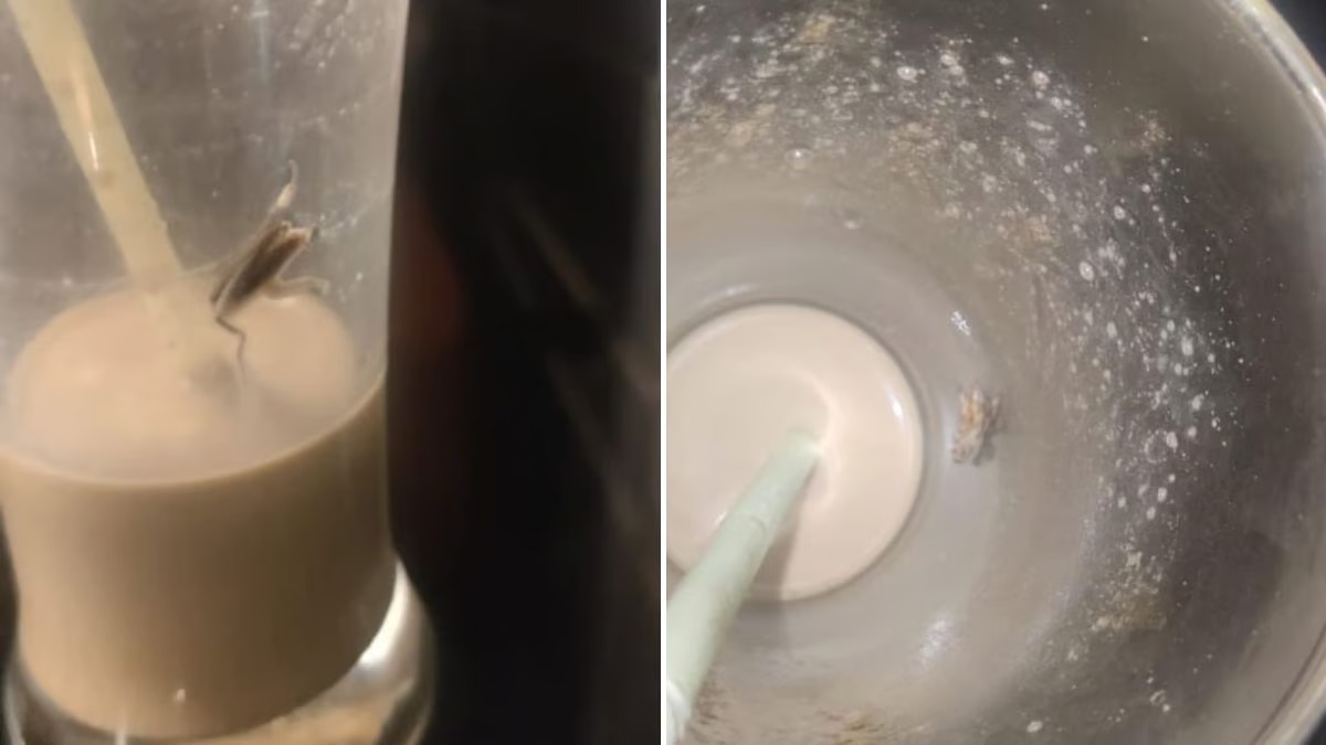 Cockroach Nikla Cold Coffee Mein at Malad West, Manager, Waiter, Others Par Police Ne FIR Darj Kiya