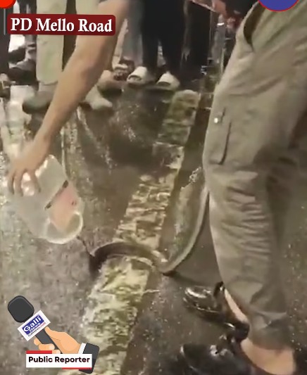Snake Rescue at PD Mello Road