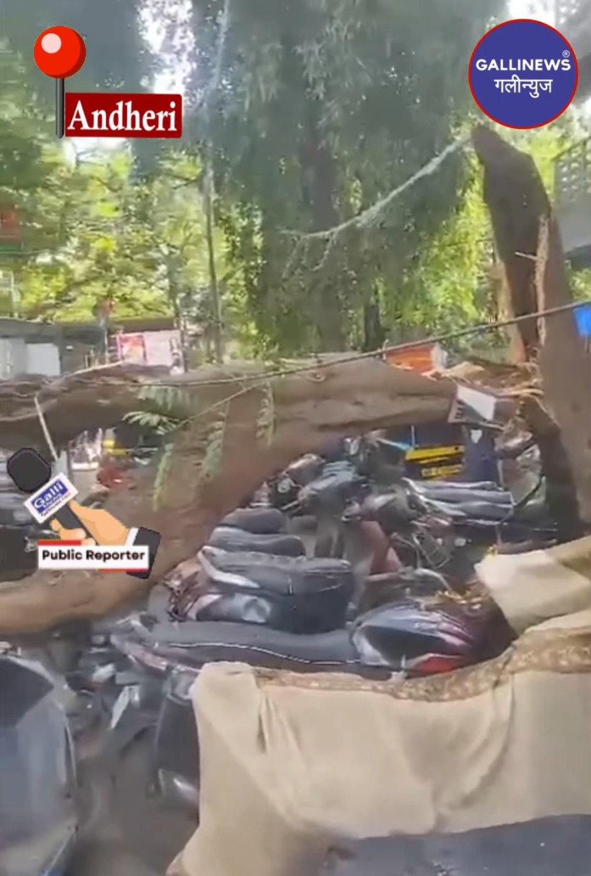 Tree Gira At Andheri West