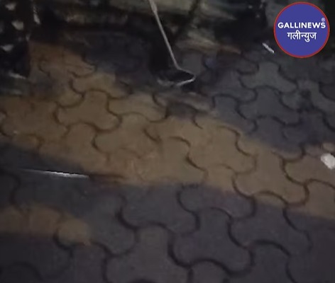 2 Python – Azgar Saanp Rescue Kiya Gaya BKC Area Se, 1 Injured Tha Bataya WAPRA NGO Ne.