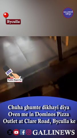 Chuha Ghumte Dikhayi Diya Oven Me In Dominos Pizza Outlet At Clare Road, Byculla Ke