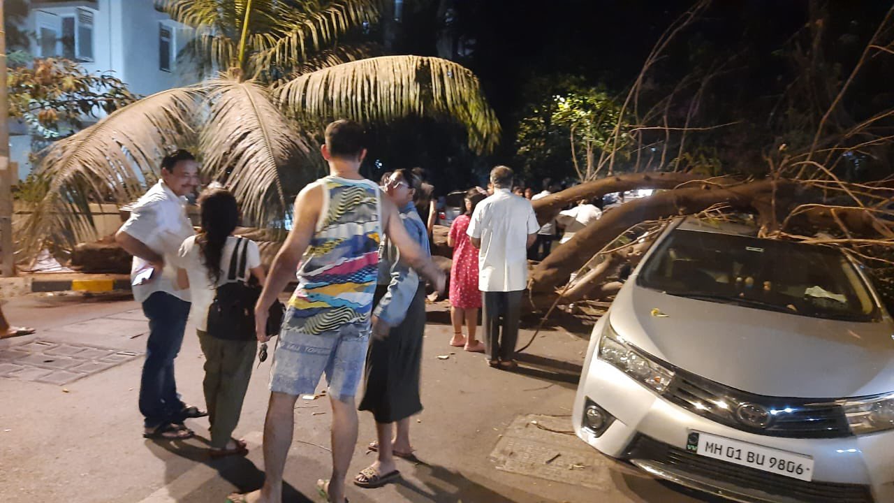 Tree Fall in Lokhandwala 1st Lane at Andheri west, 2 car dammage hui