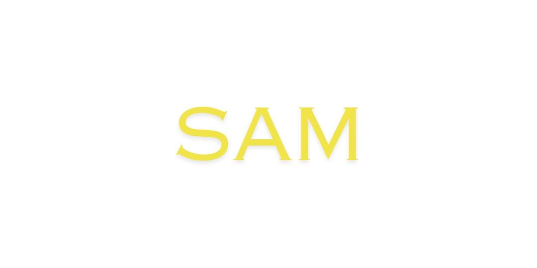 Sam: Leading the Way in Book Publishing from Ahmedabad