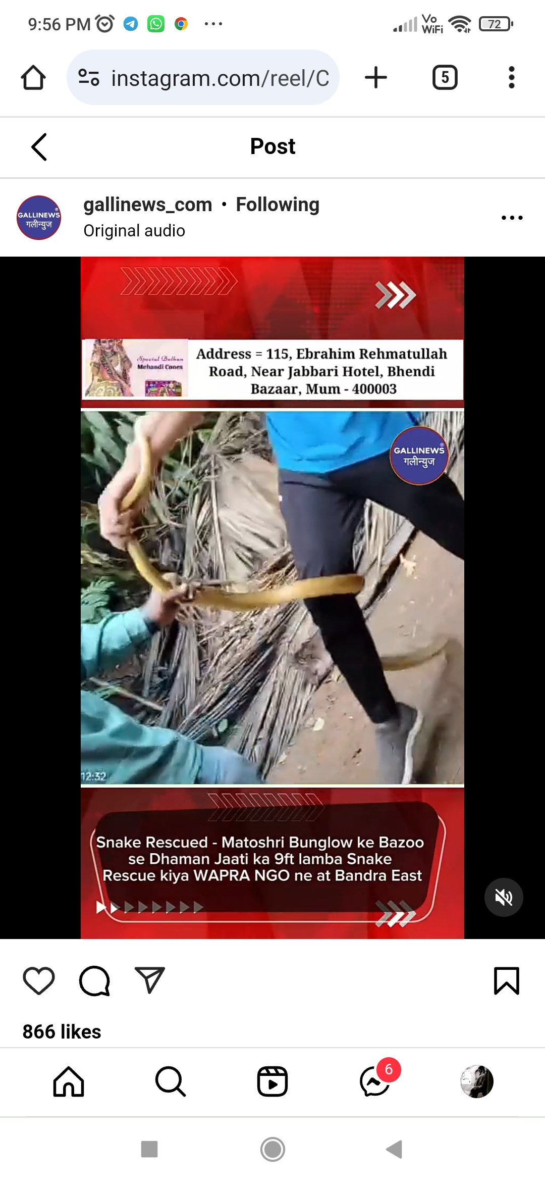 Snake Rescued – Matoshri Bunglow Ke Bazoo Se Dhaman Jaati Ka 9ft Lamba Snake Rescue Kiya WAPRA NGO Ne At Bandra East.
