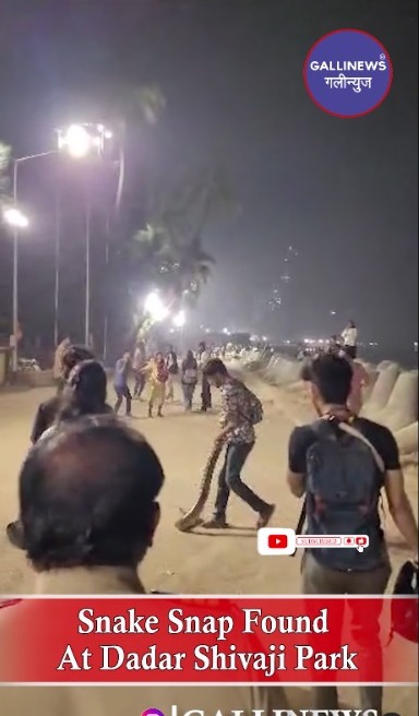 Snake Snap Found At Dadar Shivaji Park