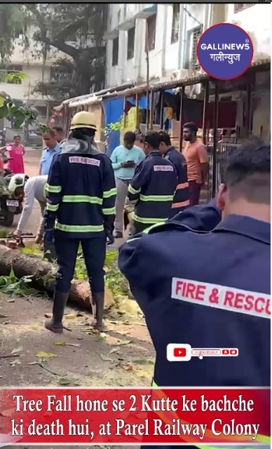 Tree Fall Hone Se 2 Kutte Ke Bachche Ki Death Hui, At Parel Railway Colony