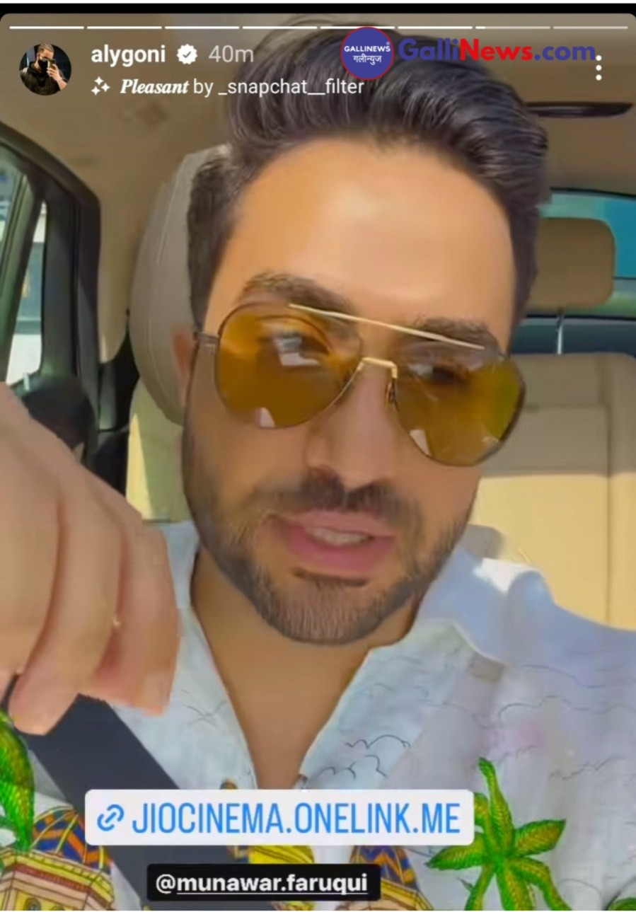 BiggBoss17: Aly Goni Come To Support Munawar Faruqui, Vote For Munawar Faruqui