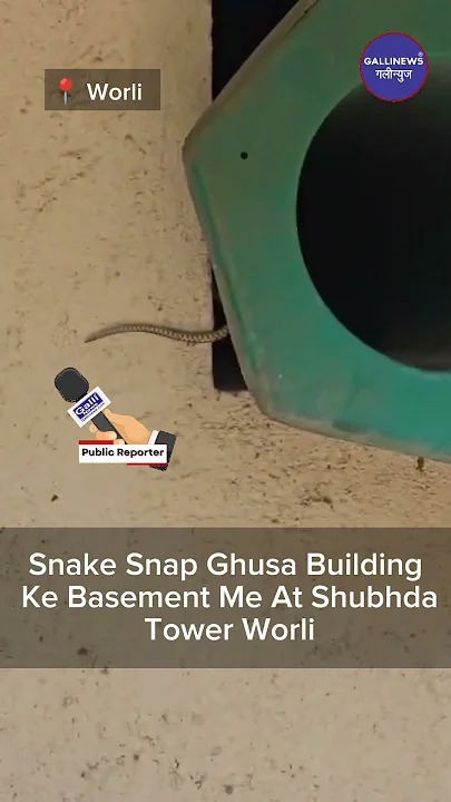 Snake Snap Ghusa Building Ke Basement Me At Shubhda Tower Worli