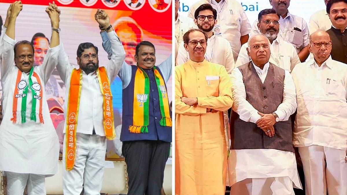 20 Sitting MP haare Maharashtra me, jisme 3 Union Minister bhi shamil hain, Loksabha Election 2024